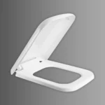 Asiento para inodoro modelo Dionisio - Imagen 2