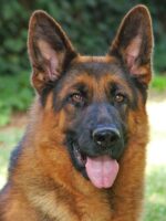 Asiento mdf  laqueada modelo Florencia personalizadas - Imagen 16